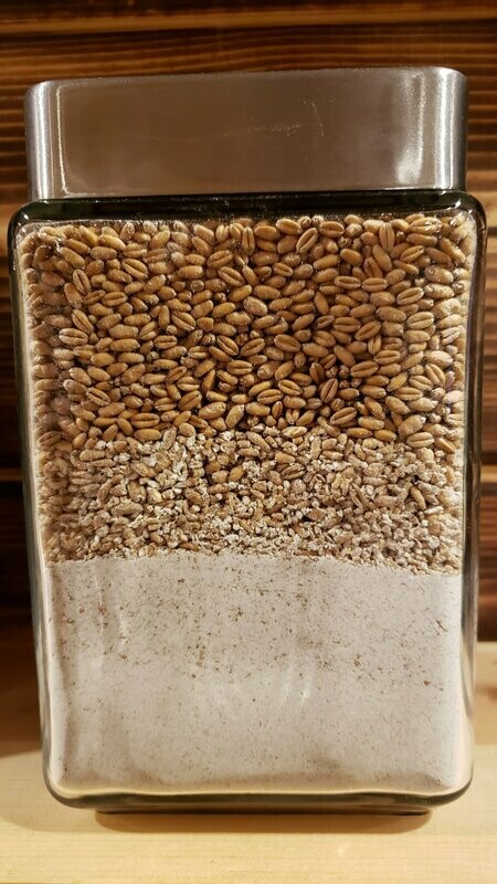 Wheat 50 lb bag