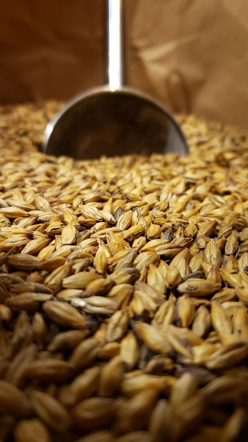 Barley 50 lb bag