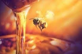 Miel de Abeja