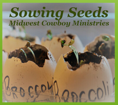 Sowing Seeds CD: 16 Songs