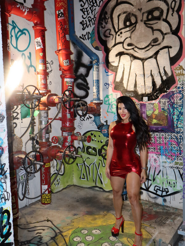 Metallic Red Mini Dress
