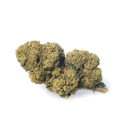 Mango Haze 100g