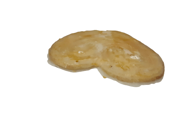 Palmier coberto