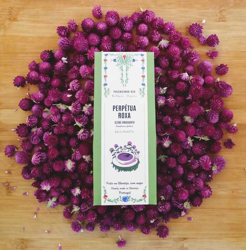 Perpétua roxa
