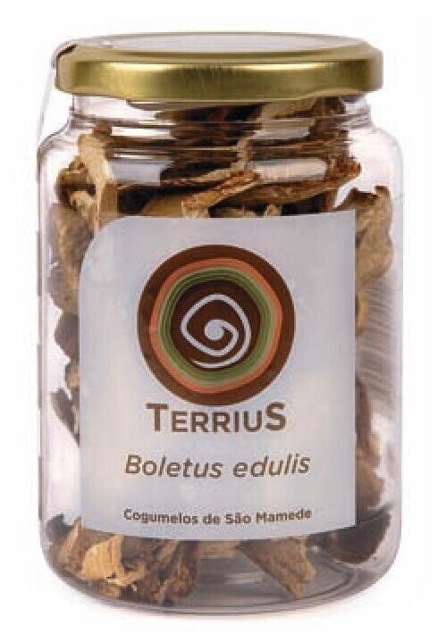 Boletus Edulis