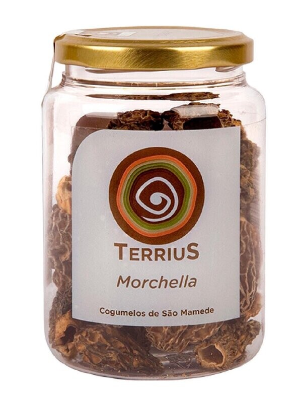 Morchella