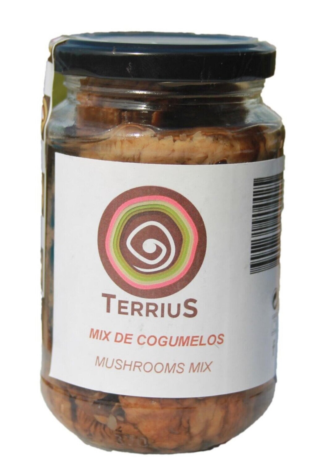 Mistura de cogumelos silvestres
