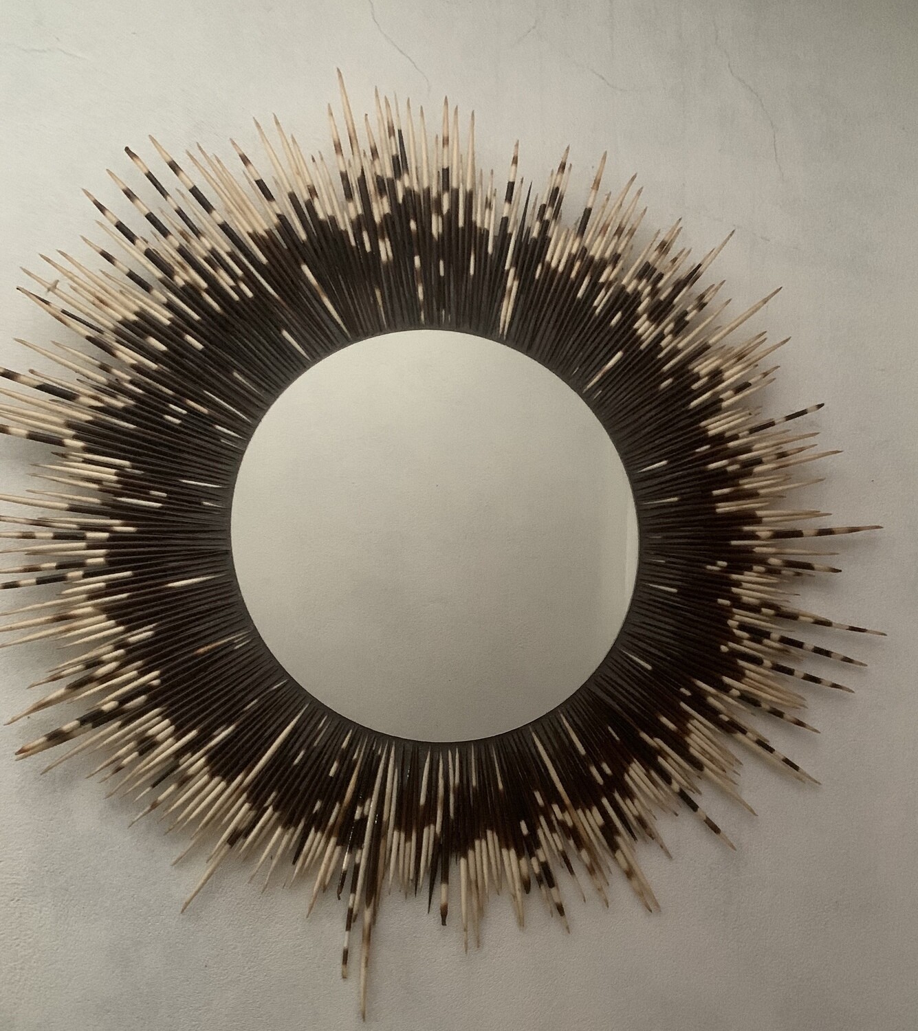 Porcupine Quill Mirror