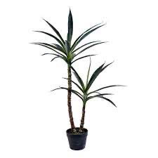 Vickerman Plant