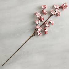 Flower Stem 24