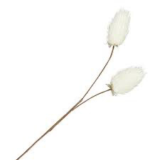 Flower Stem55