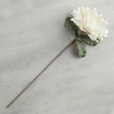 Flower Stem 35