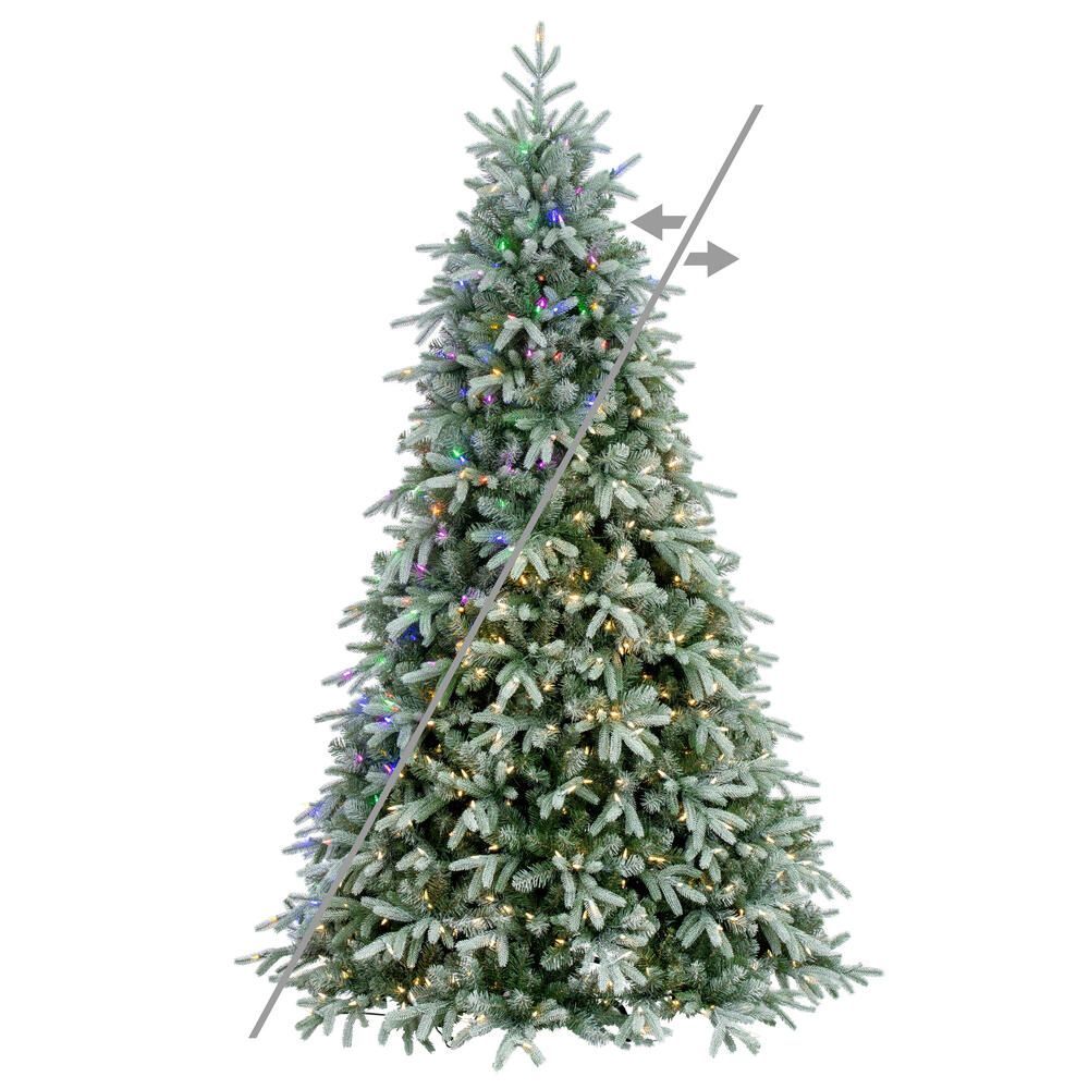 Frosted Albany Spruce color changing