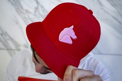 Carnal Media Hat in Red Snapback