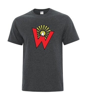 ATC™ EVERYDAY Cotton Blend Tee (Youth and Unisex)