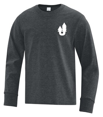 ATC™ EVERYDAY Cotton Long Sleeve YOUTH and ADULT Tee