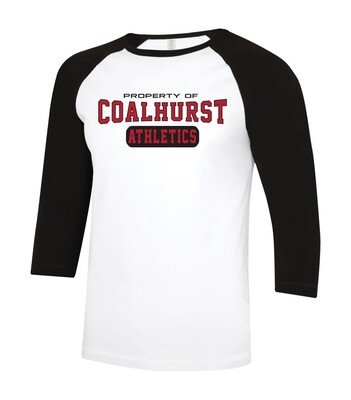 ATC Eurospun Ring Spun Adult and Youth Baseball Tee