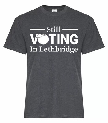 OPTION 1