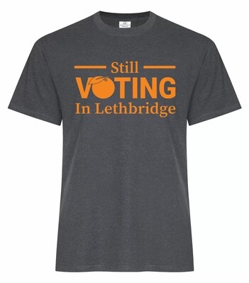 OPTION 3