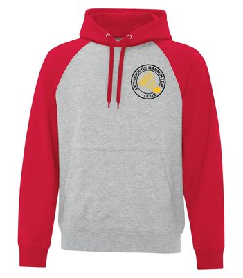 ATC™ EVERYDAY Fleece Two Tone Hooded Sweatshirt