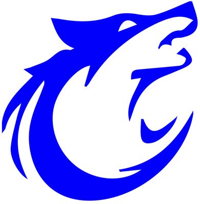 Carmangay School