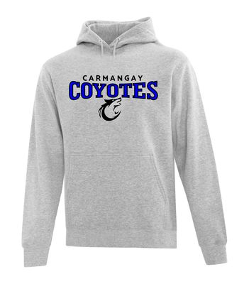 ​ATC™ EVERYDAY Adult and Youth Fleece Hooded Sweatshirt