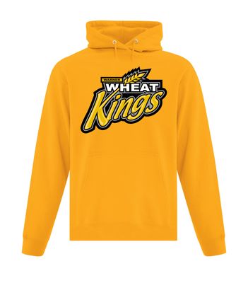 ​ATC™ EVERYDAY Adult and Youth Fleece Hooded Sweatshirt