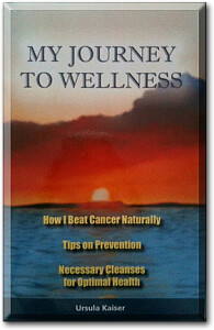 My Journey to Wellness