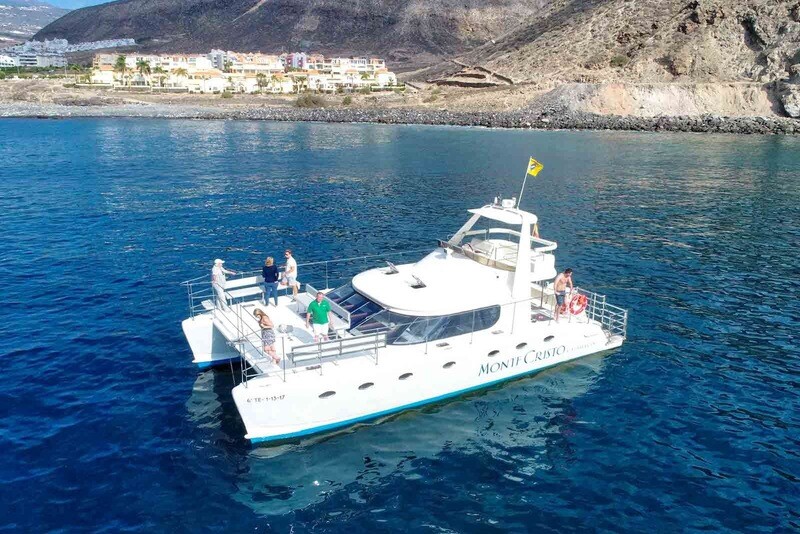 Catamaran 3 hours whale & dolphin Catamaran 3 hours whale & dolphin