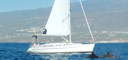 Sailing Whales & Dolphins 3 Hours Sailing Whales & Dolphins 3 Hours