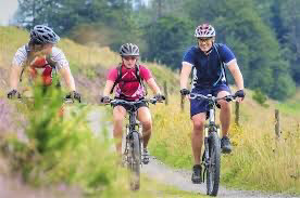 Bikes For Hire