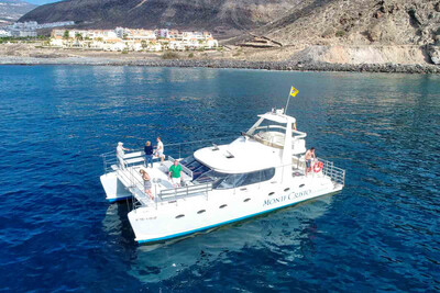 Luxury Catamaran Private Charters
