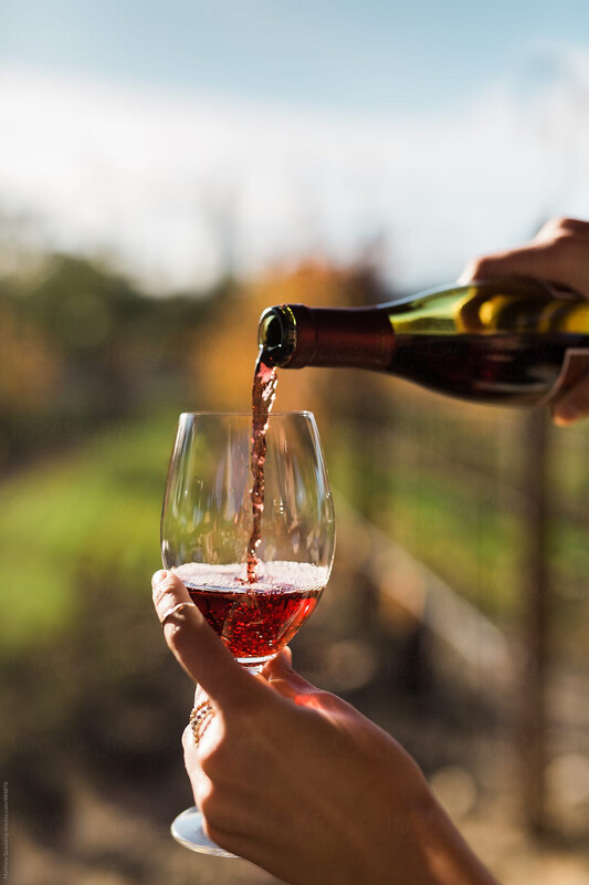First Wine Tasting Tour