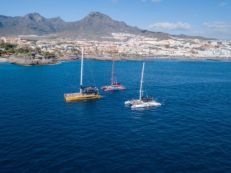 Whale & Dolphin Watching on Catamaran