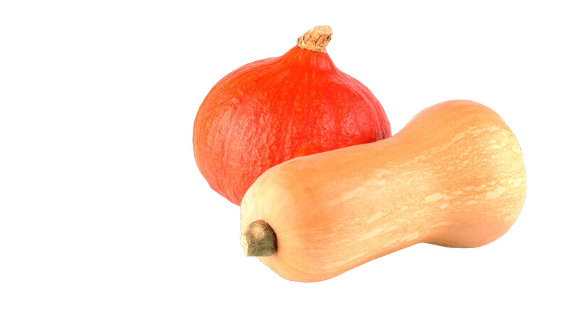 Courges de Saxon