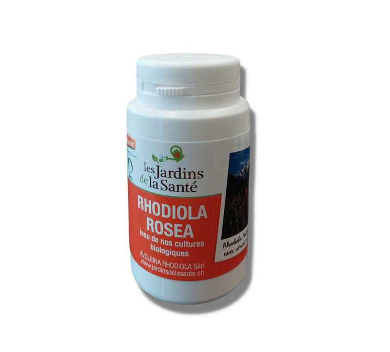 Rodiola rosea Gélules - Evoleina Rhodiola