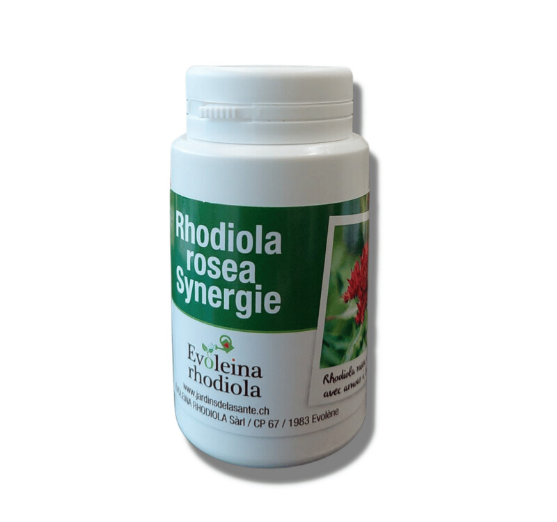 Rhodiola rosea Synergie - Evoleina Rhodiola