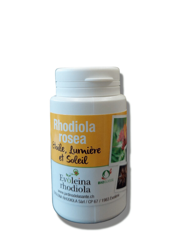 Rhodiola Etoile Lumière et Soleil - Evoleina Rhodiola