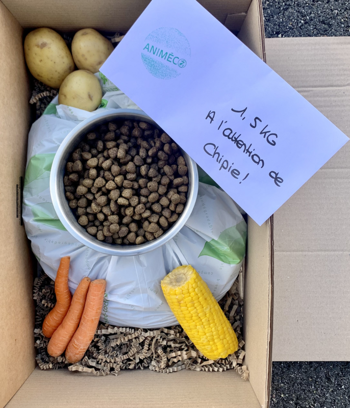 Sacs de croquettes "Poisson Senior Sans Céréales" pour chats