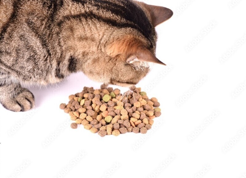 Sacs de croquettes &quot;Poulet Junior&quot; pour chats