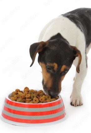 Croquettes &quot;Adulte SENSITIVE à l’agneau pour chiens de toutes races&quot;