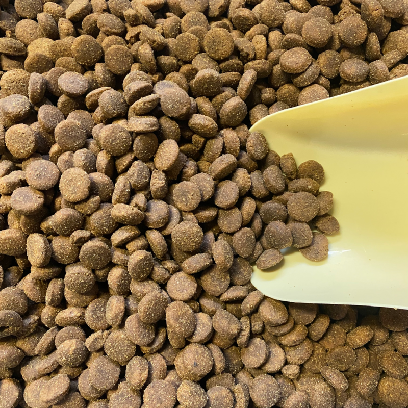 Croquettes "Junior au poulet pour chiens de race de grande taille"