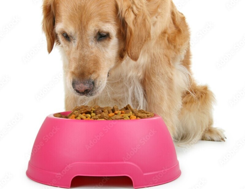 Croquettes &quot;Junior au poulet pour chiens de race de grande taille&quot;