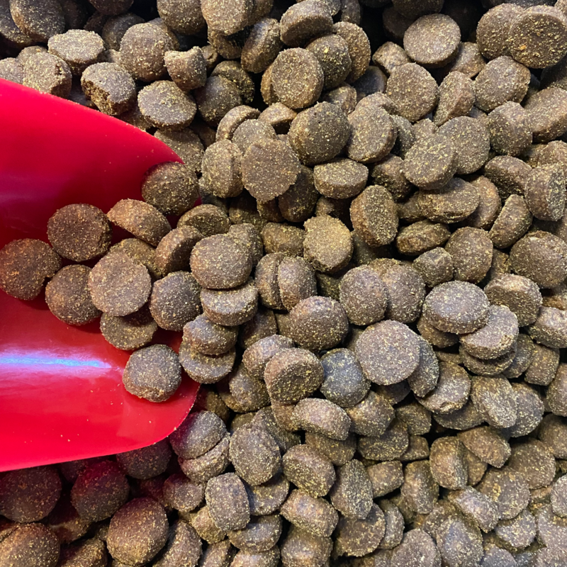 Croquettes "Adulte au poulet pour chiens de race de grande taille"