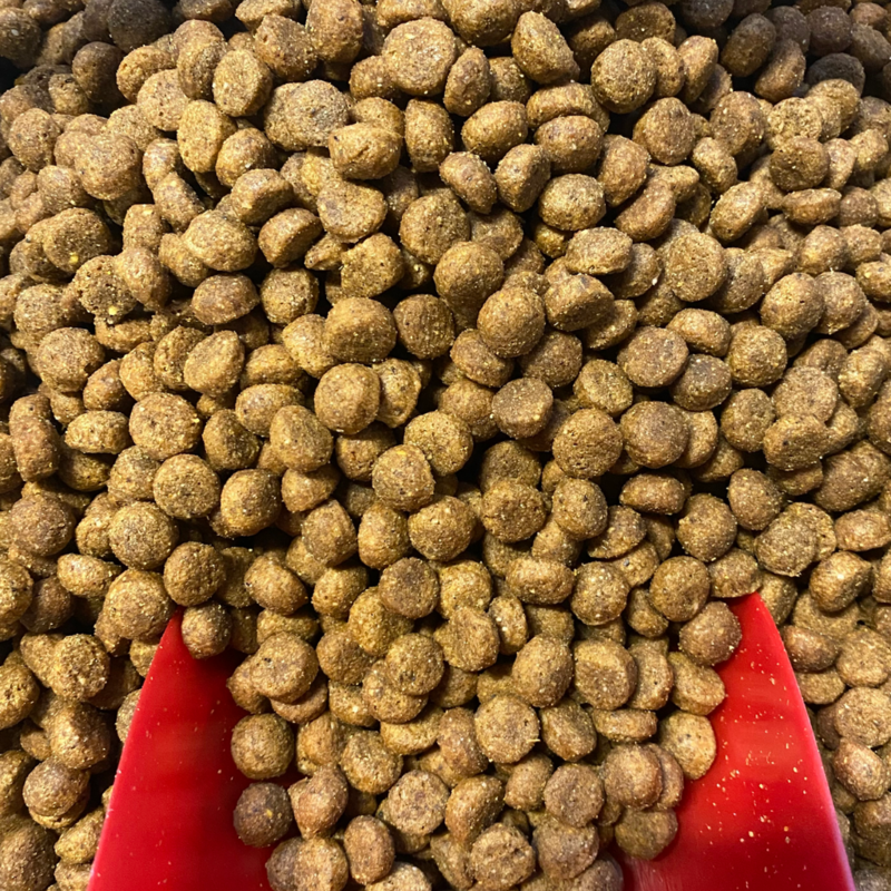 Croquettes "Poulet Senior pour chiens matures de toutes races"