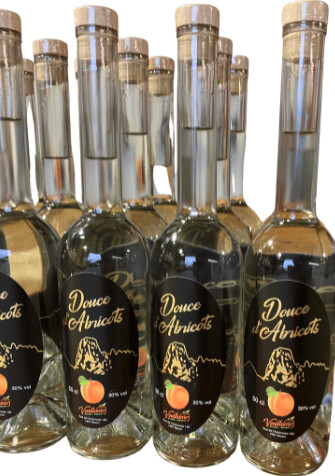 Douce d&#39;Abricot - Vouillamoz Fruits