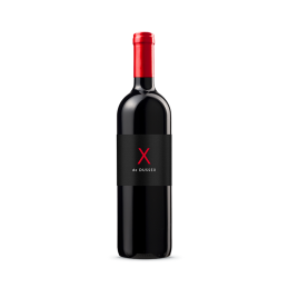 6 X X RED 75cl - Domaine Dussex