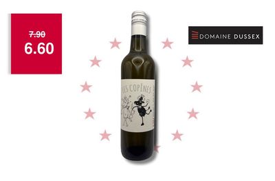6 X Gamay 50cl Les Copines - Domaine Dussex