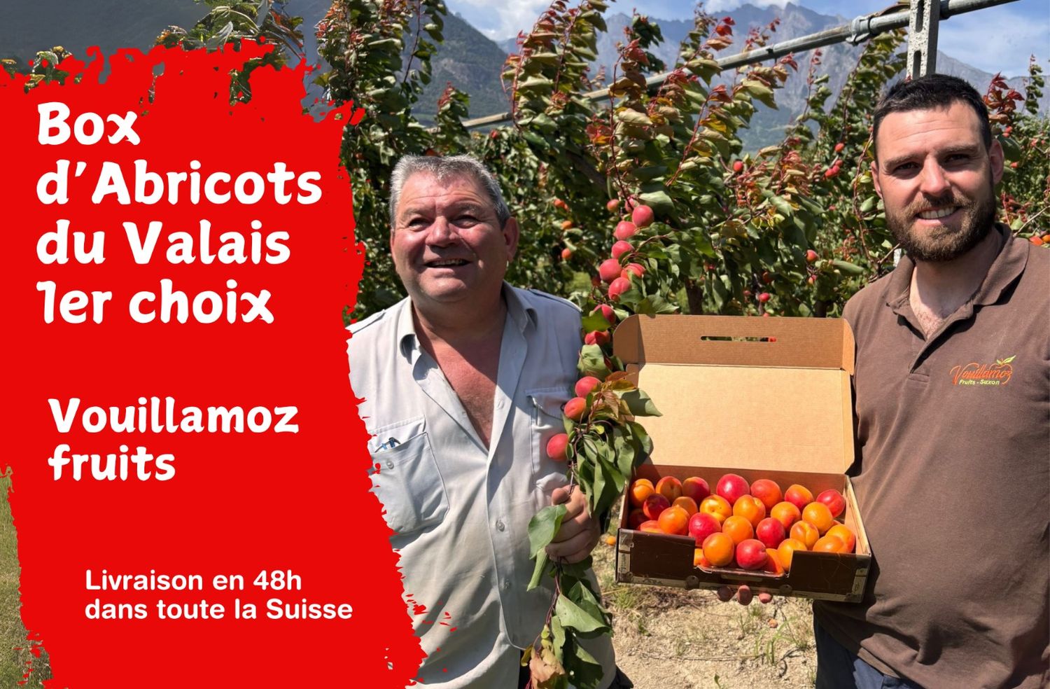 Box d&#39;Abricots du Valais - Vouillamoz fruits