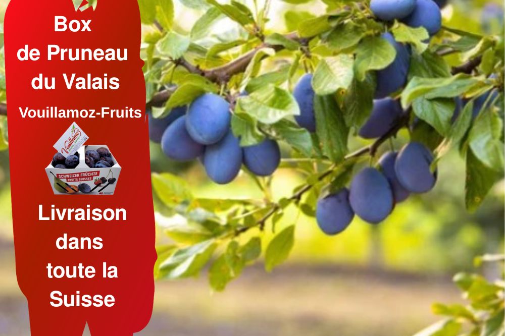 Box de Pruneau du Valais 4kg - Vouillamoz fruits
